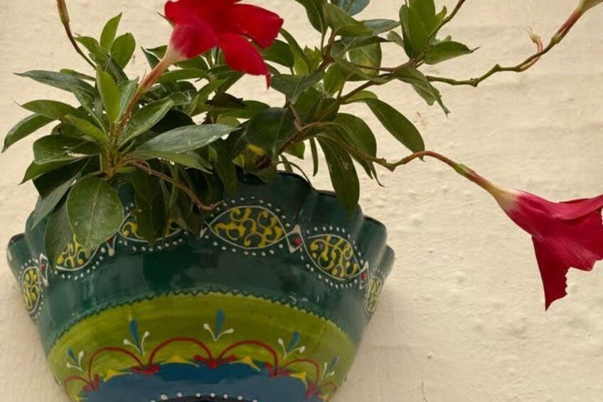 Tour : Alberobello, Ostuni, Locorotondo : Local Guide & Lunch 3