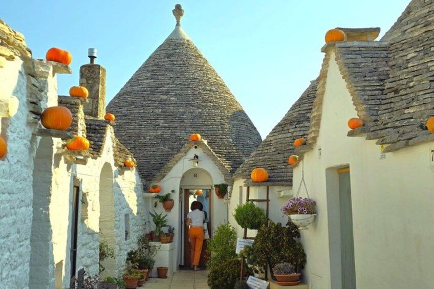 Trulli of Alberobello UNESCO, Ostuni and Locorotondo in one day 1
