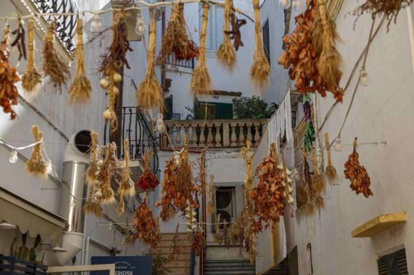 Trulli of Alberobello UNESCO, Ostuni and Locorotondo in one day 3
