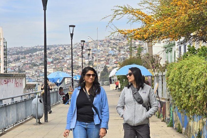 Street Art in Valparaiso and Wines in Casablanca from Santiago 3