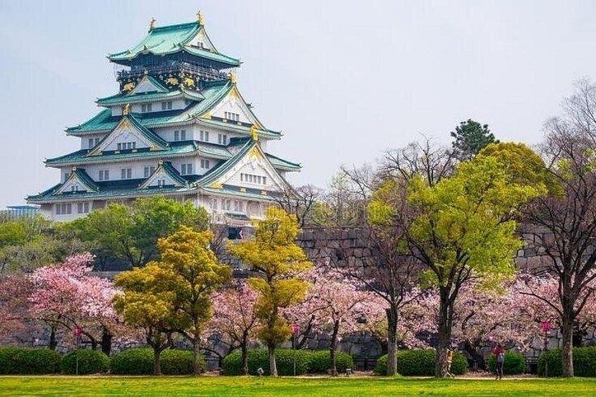PRIVATE 6hr, Food tour from Osaka Castle, Kuromon, Dotonbori. 1