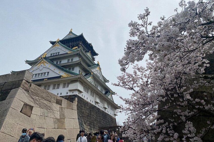 PRIVATE 6hr, Food tour from Osaka Castle, Kuromon, Dotonbori. 3