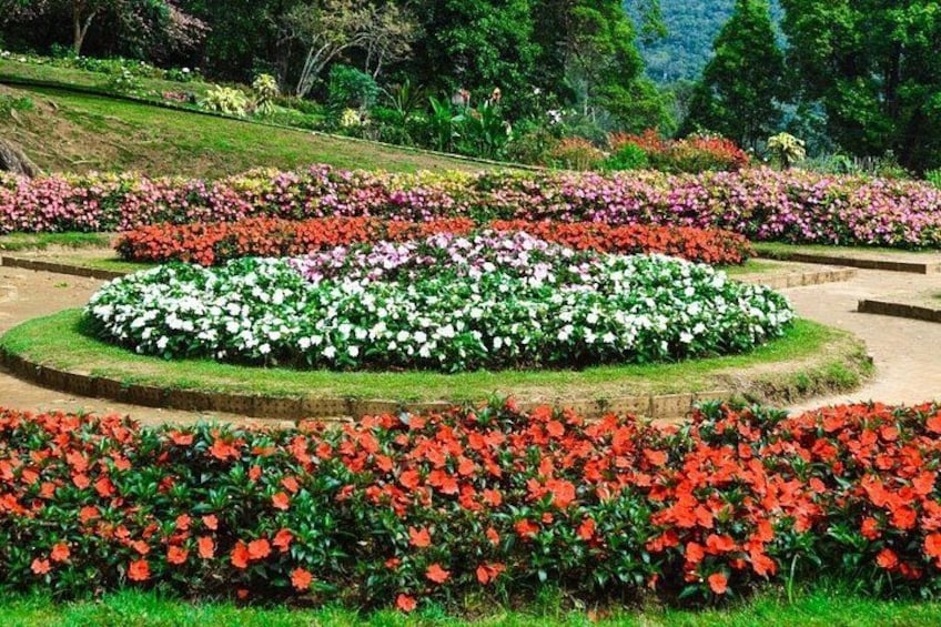 A landscaped garden with circular flower beds and a variety of colorful flowers. 5