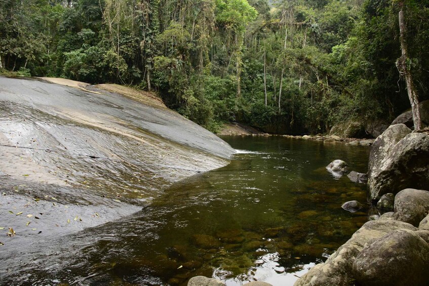 A river flowing through a forested area with rocks and trees. 2