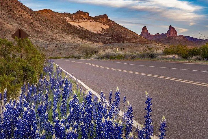 Road with Mule Ears 4