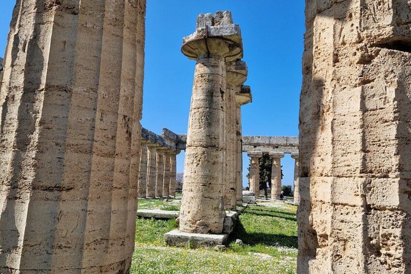 Half Day Private Tour to the Temples of Paestum 5