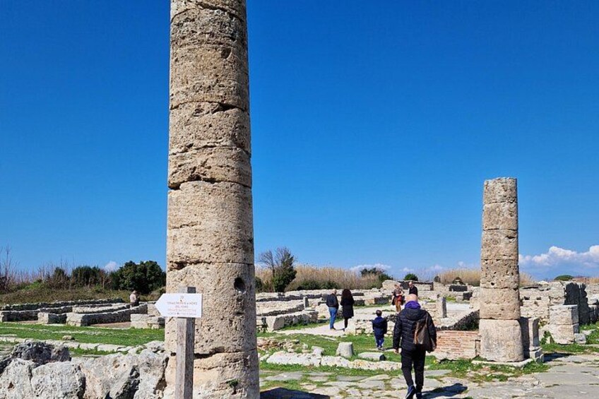 Half Day Private Tour to the Temples of Paestum 4
