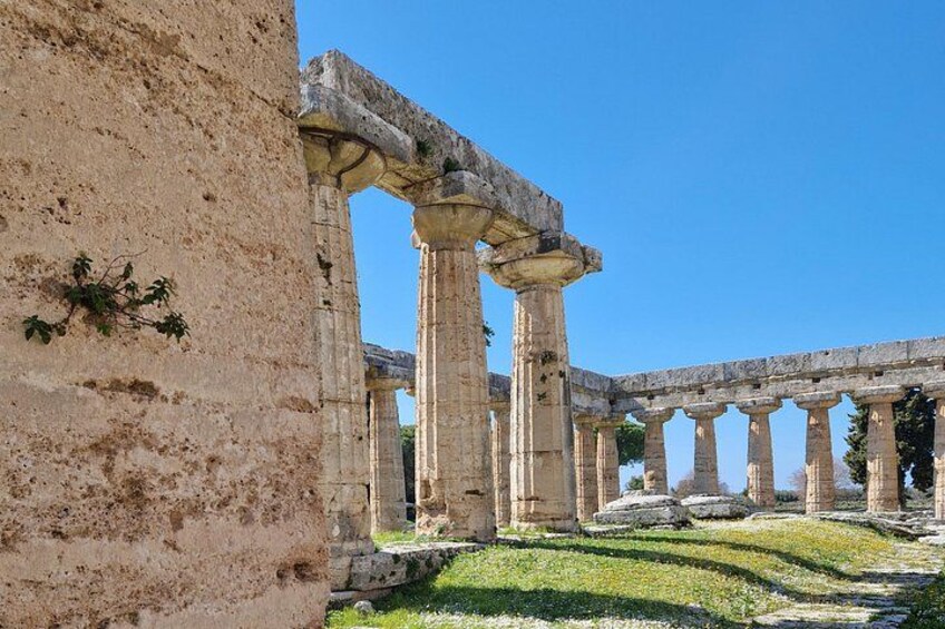 Half Day Private Tour to the Temples of Paestum 1