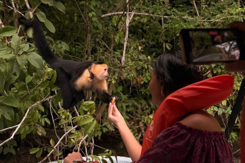 Wildlife Boat Tour in the Panama Canal Lake 5
