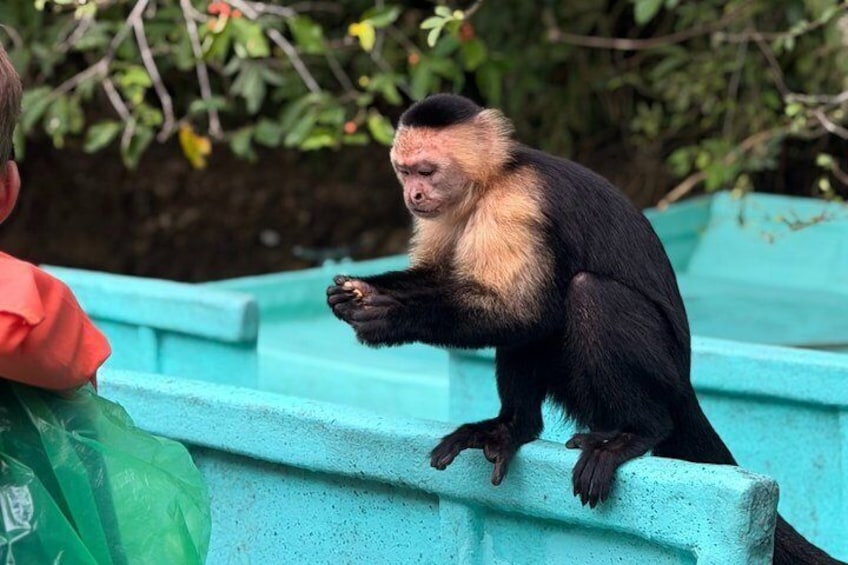 Wildlife Boat Tour in the Panama Canal Lake 3