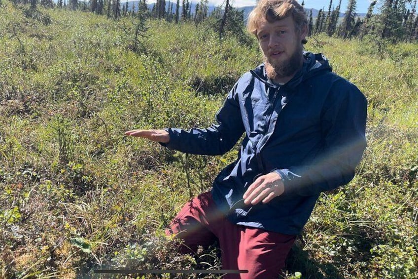 Denali Primitive Survival - 4hr Easy Hiking & Survival Workshop 4