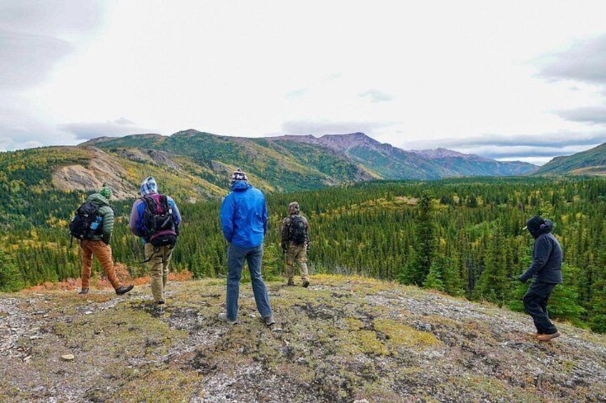 Denali Primitive Survival - 4hr Easy Hiking & Survival Workshop 3