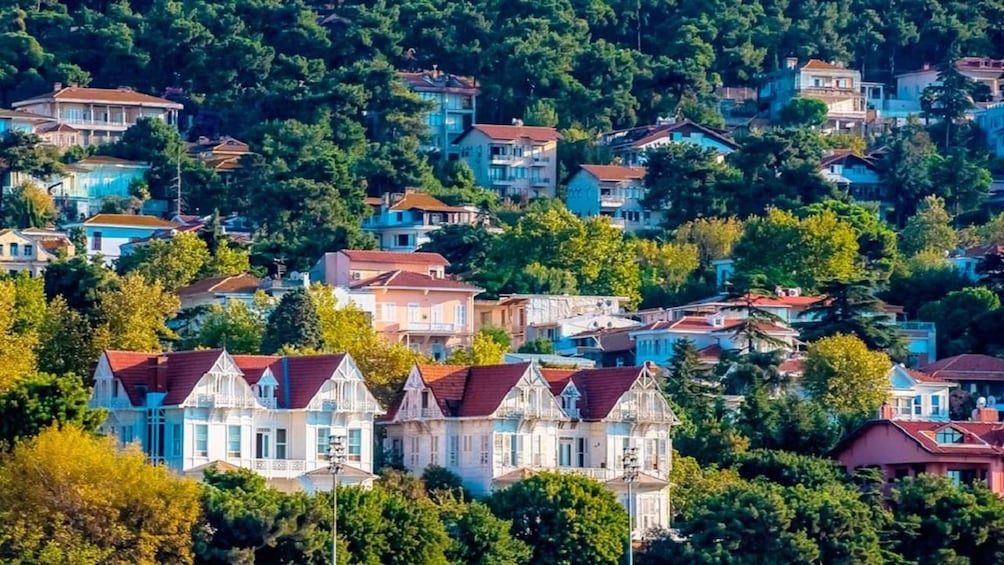 Picture 2 for Activity Istanbul: Day Trip to the Princes' Islands 3