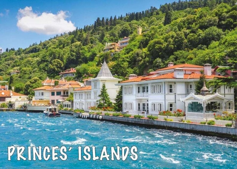 Istanbul: Day Trip to the Princes' Islands 1