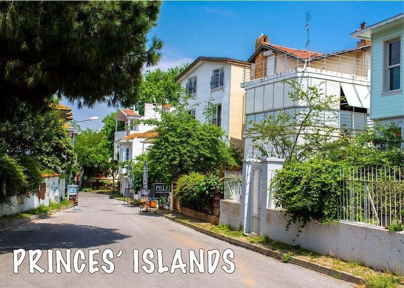Picture 3 for Activity Istanbul: Day Trip to the Princes' Islands 2