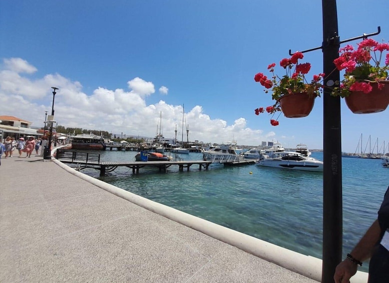 Picture 6 for Activity From Ayia Napa/Protaras/Larnaca: Paphos and Kourion Day Trip 4