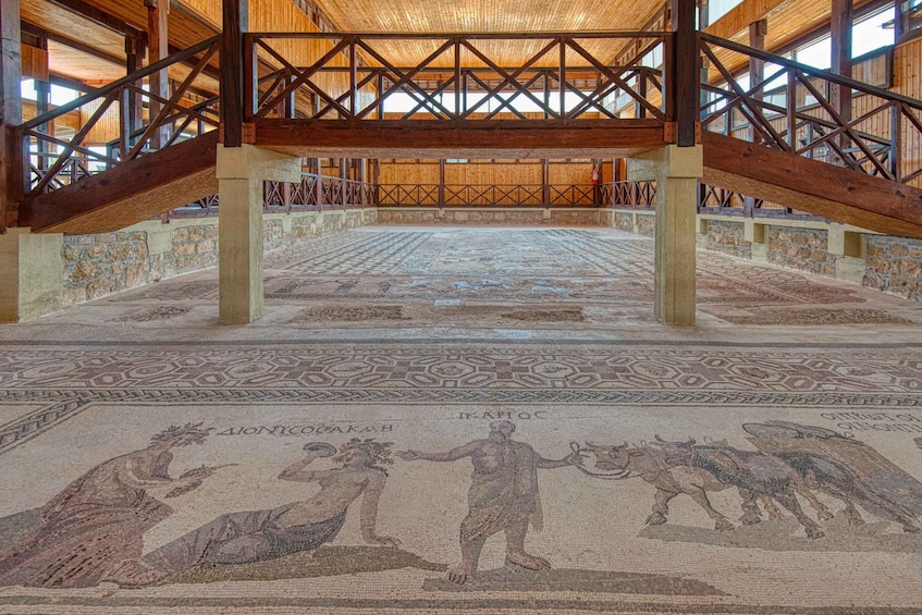 Picture 18 for Activity From Ayia Napa/Protaras/Larnaca: Paphos and Kourion Day Trip 2