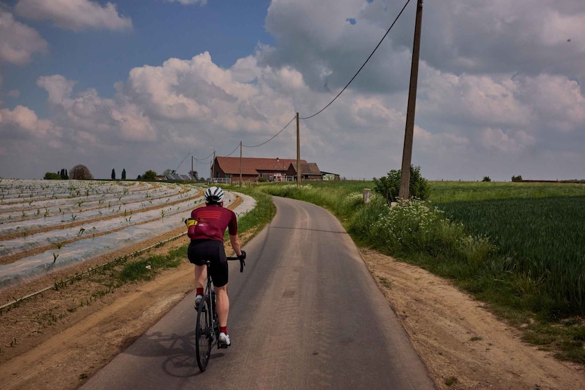 Picture 2 for Activity From Brussels to Flanders 100km road cycling tour 5