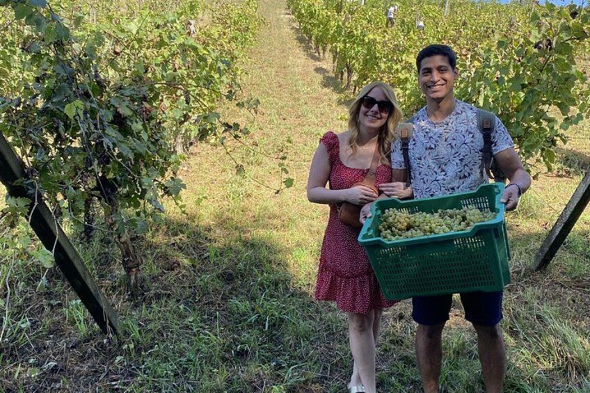 Tasting in a Tuscan Vineyard with transfer from Pisa 3