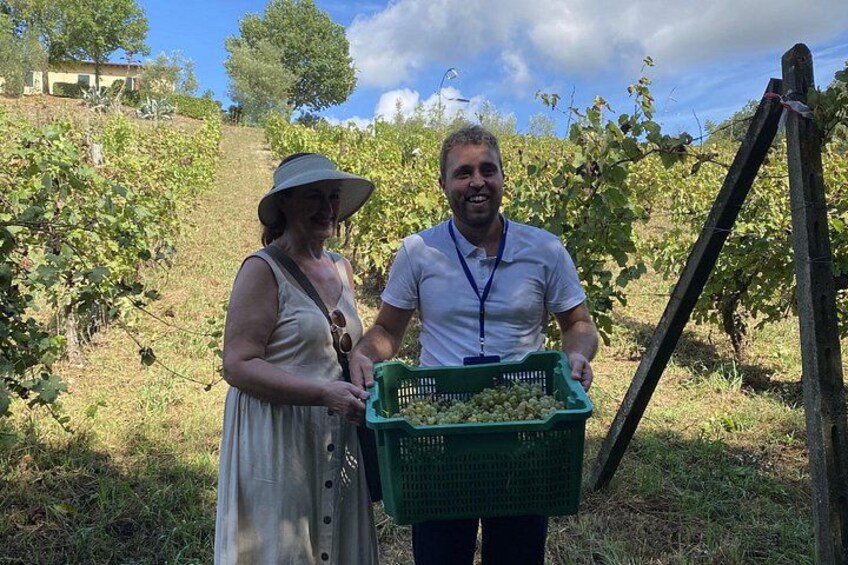 Tasting in a Tuscan Vineyard with transfer from Pisa 5