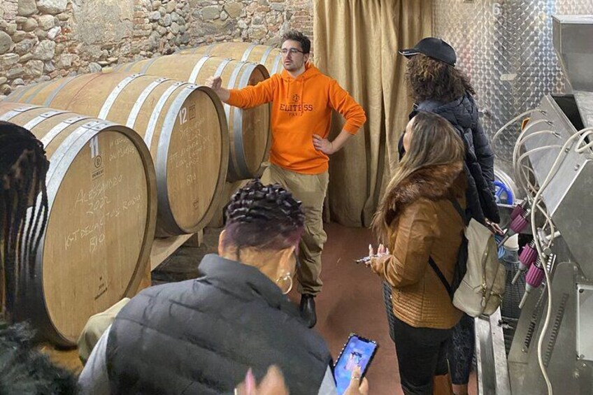 Tasting in a Tuscan Vineyard with transfer from Pisa 2