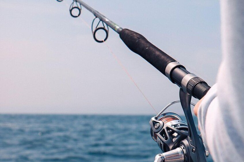 Sea fishing 5