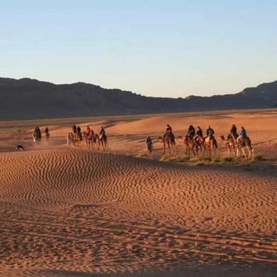 Picture 4 for Activity From Marrakech: 2-Day Sahara Tour to Zagora & Ait Ben Haddou 2