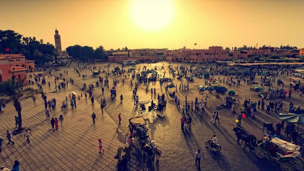 Picture 14 for Activity From Marrakech: 2-Day Sahara Tour to Zagora & Ait Ben Haddou 4