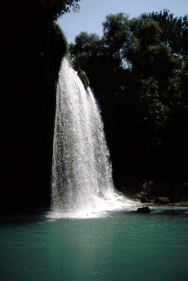 A waterfall cascading into a turquoise pool surrounded by dense forest. 4