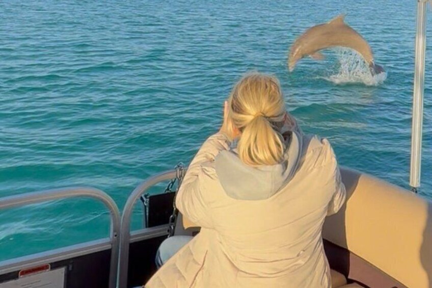 En person på en båt som tittar på när en delfin hoppar upp ur vattnet. 2