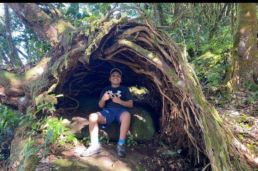 Morne Blanc Trail 1