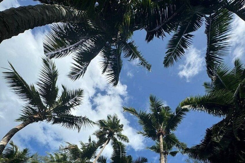 Mahe island Seychelles , unforgettable & adventurous tour 4