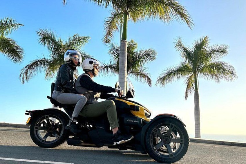 Dos personas en una motocicleta, con una palmera de fondo. 4
