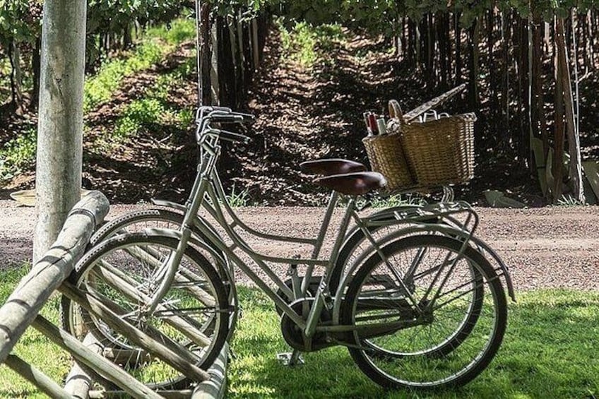 Een oude fiets met een mandje, geparkeerd op gras naast een houten paal. 1