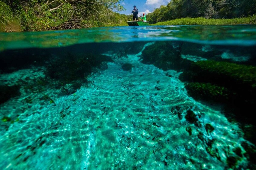 Bonito: Sucuri River Snorkeling Tour 1