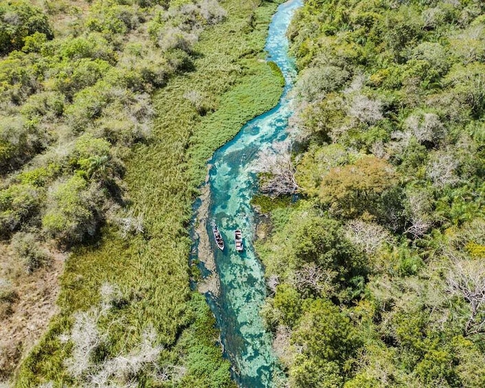 Picture 3 for Activity Bonito: Sucuri River Snorkeling Tour 2