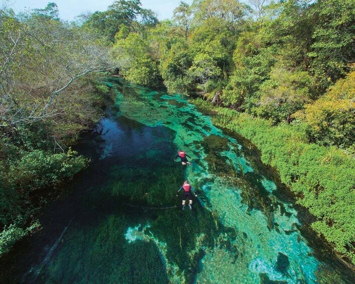 Picture 1 for Activity Bonito: Sucuri River Snorkeling Tour 3