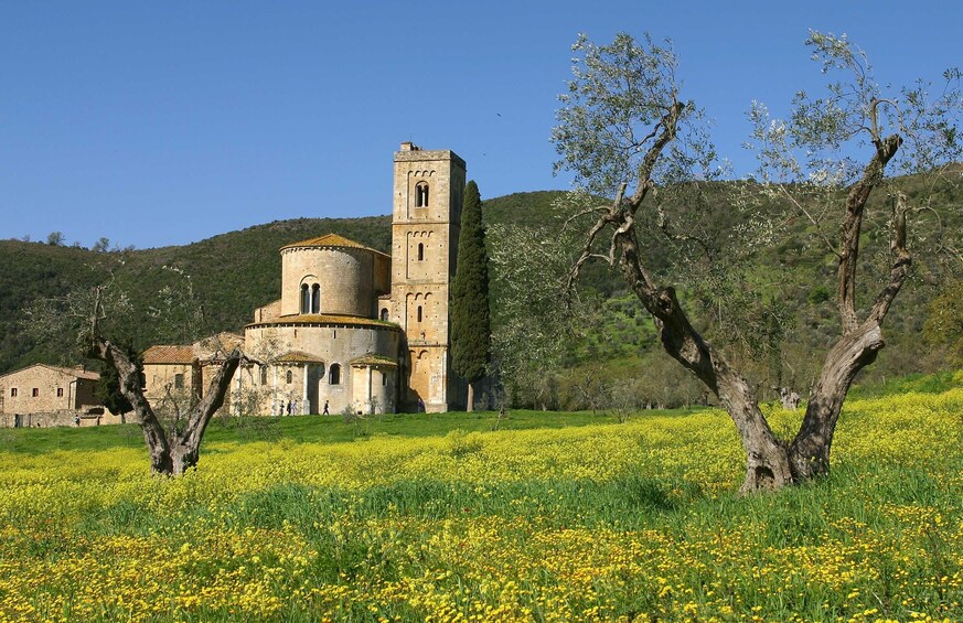 Land of Brunello: Pienza, Montalcino, Temple of Brunello, Sant'Antimo