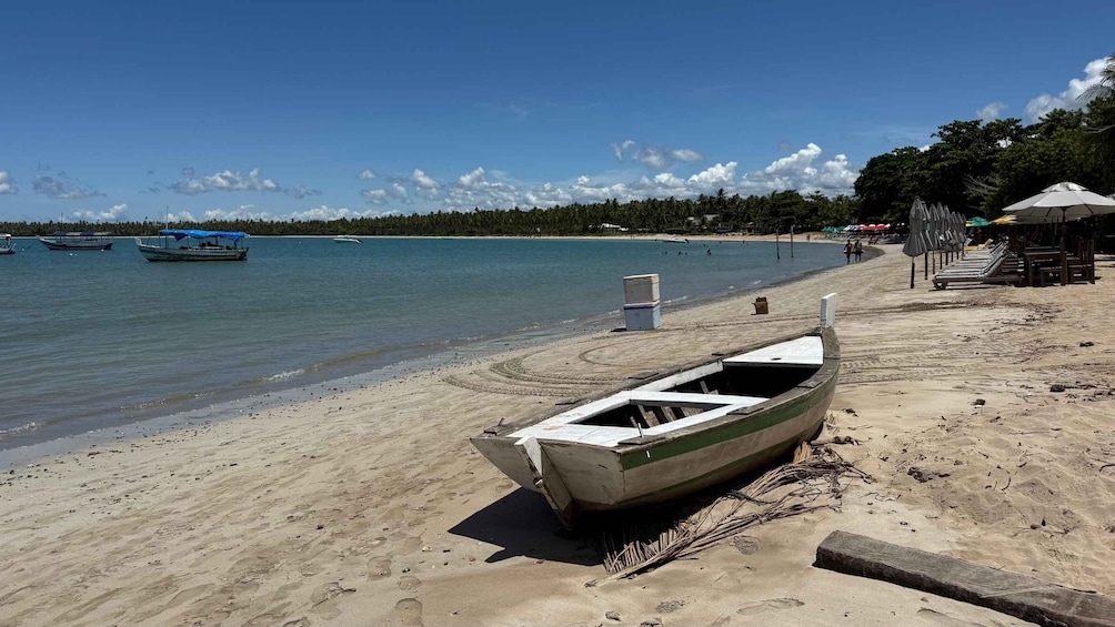 Picture 11 for Activity From Salvador: Morro de São Paulo Car-Free Island Day Trip 2
