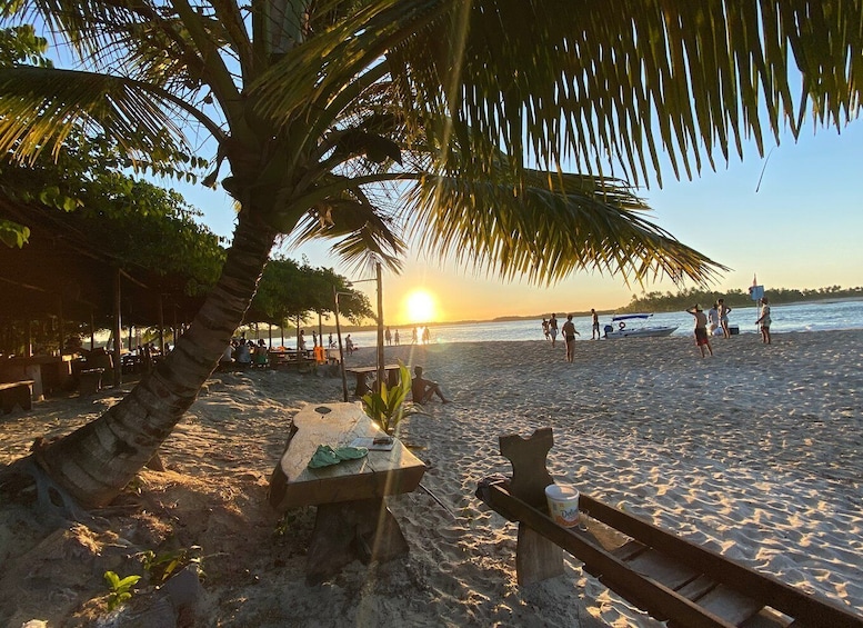 A beach with palm trees, a wooden bench, and people walking along the shore during sunset. 1