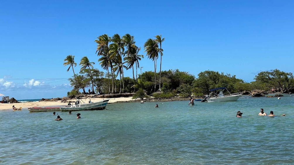 Picture 17 for Activity From Salvador: Morro de São Paulo Car-Free Island Day Trip 4