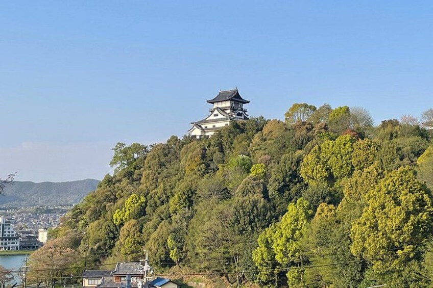 Private Samurai Tour: Discover Inuyama and Gifu Historic Heritage 3