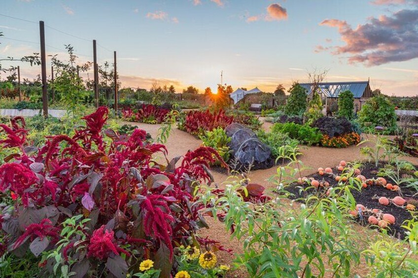 RHS Hilltop - The Home of Gardening Science, World Food Garden 3