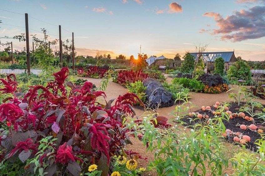 RHS Hilltop - The Home of Gardening Science, World Food Garden 3