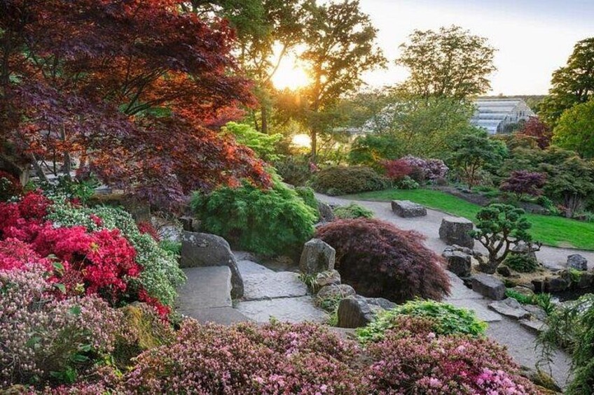 The Rock Garden, RHS Garden Wisley 5
