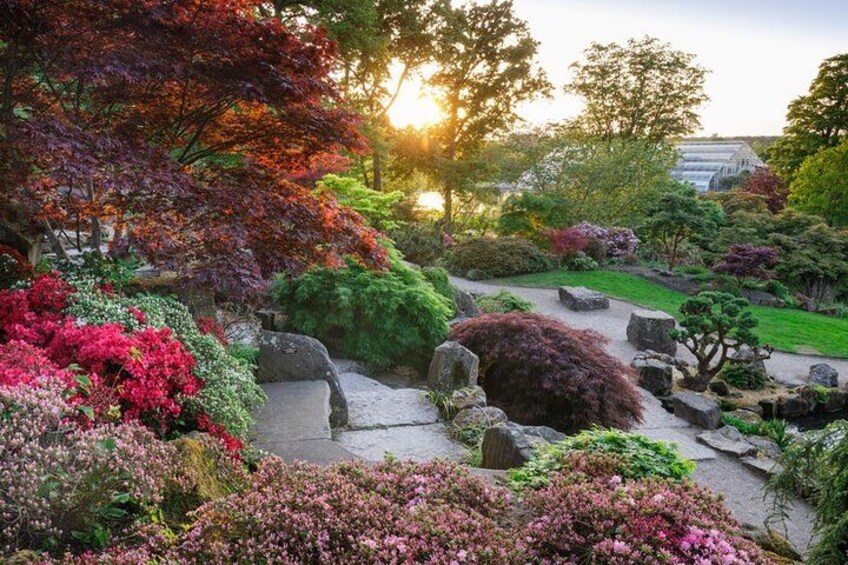The Rock Garden, RHS Garden Wisley 1