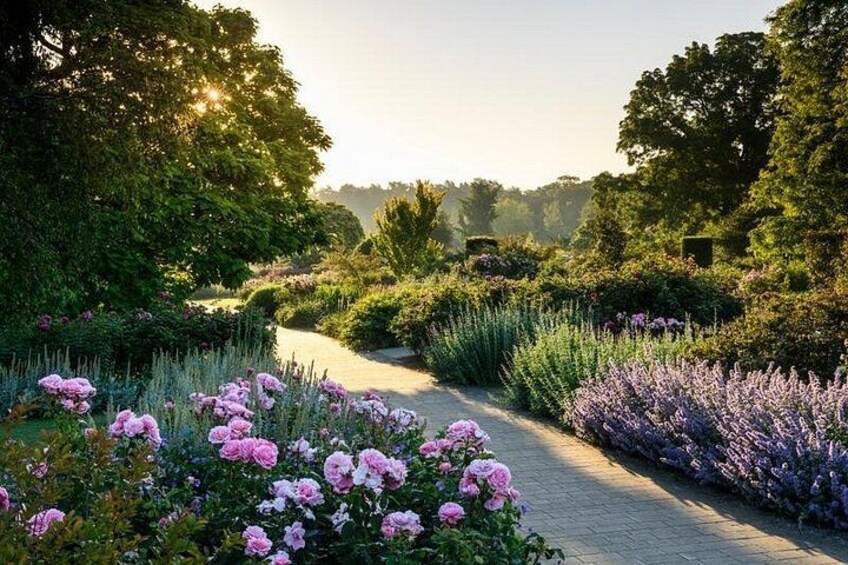 The Bowes-Lyon Rose Garden, RHS Garden Wisley 2