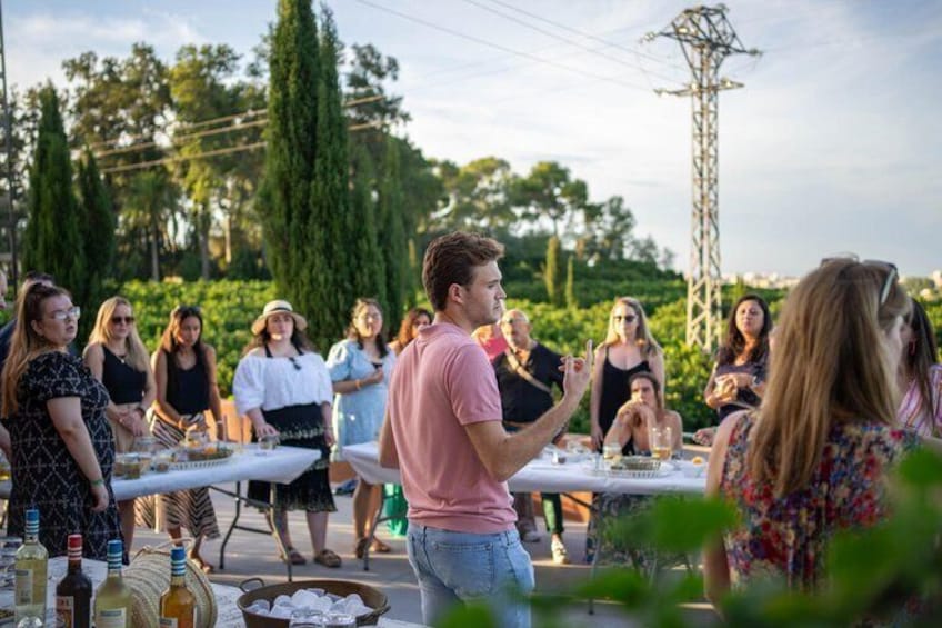 An outdoor gathering with people seated at tables, surrounded by greenery and a power line structure in the background. 4