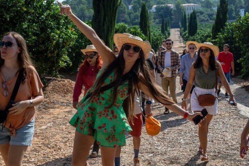 A group of people walking on a dirt path surrounded by greenery and trees. 1