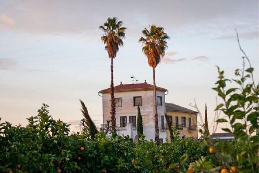 A building with a red roof, surrounded by greenery and palm trees. 5